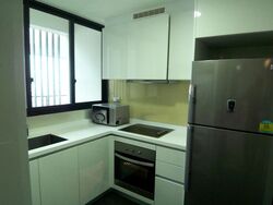 Spottiswoode Residences (D2), Condominium #614572811